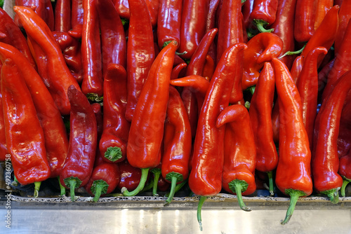 large capia peppers in the greengrocer aisle, fresh capia peppers on sale, photo