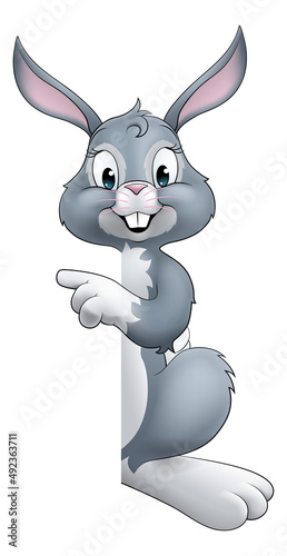 Easter Bunny Rabbit Cartoon...