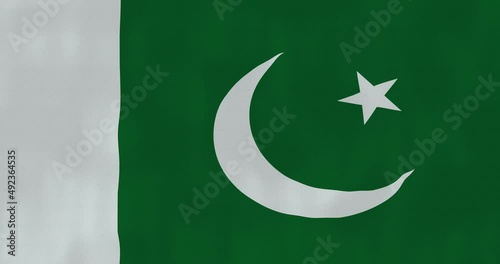 Pakistan flag waving in the wind, detailed fabric texture, 4k, Animated Realistic.