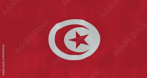 Tunisia flag waving in the wind, detailed fabric texture, 4k, Animated Realistic.