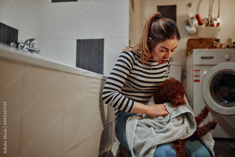 Young woman drying her cute small dog with towel at home