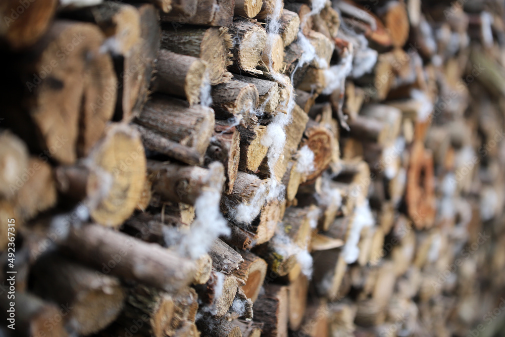 Firewood for the oven Firewood for the oven