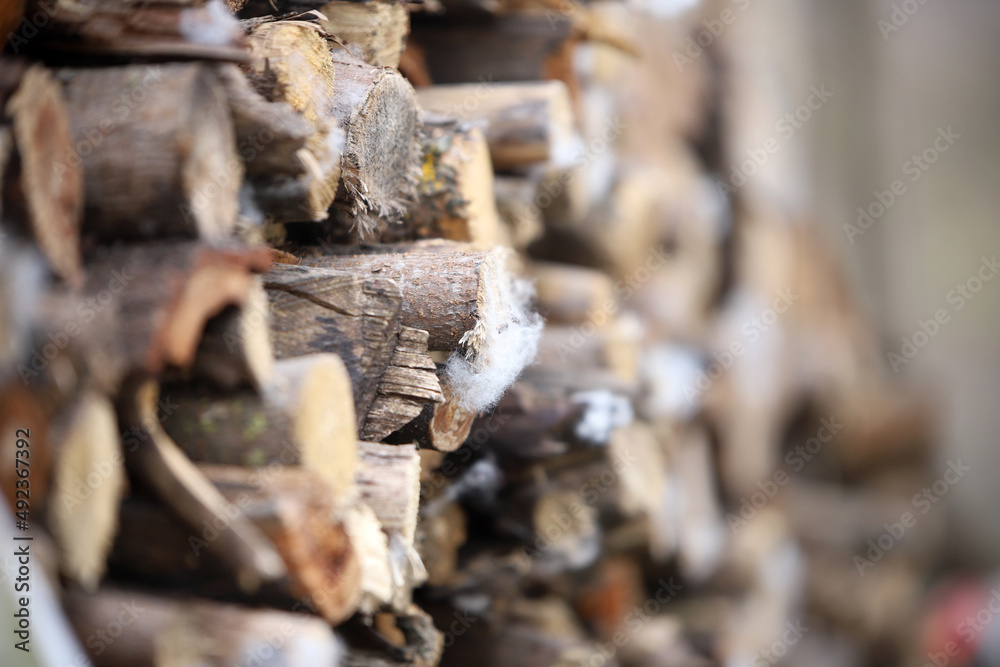 Firewood for the oven Firewood for the oven