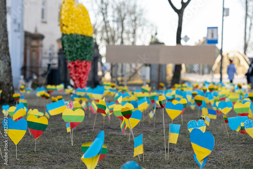 The field in Lithuania with mini flags of Ukraine and Lithuania photo