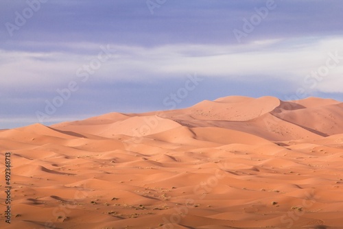 Sand dunes in the desert