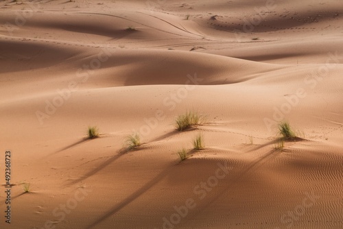Sand dunes in the desert