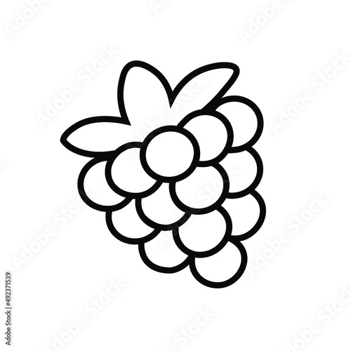 Raspberry blackberry line icon Graphic elements for design Berry icon Berry logotype Contour isolated vector image on white background
