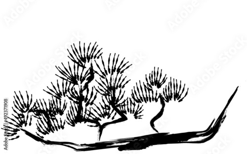 水墨画風　松の木の枝ぶり