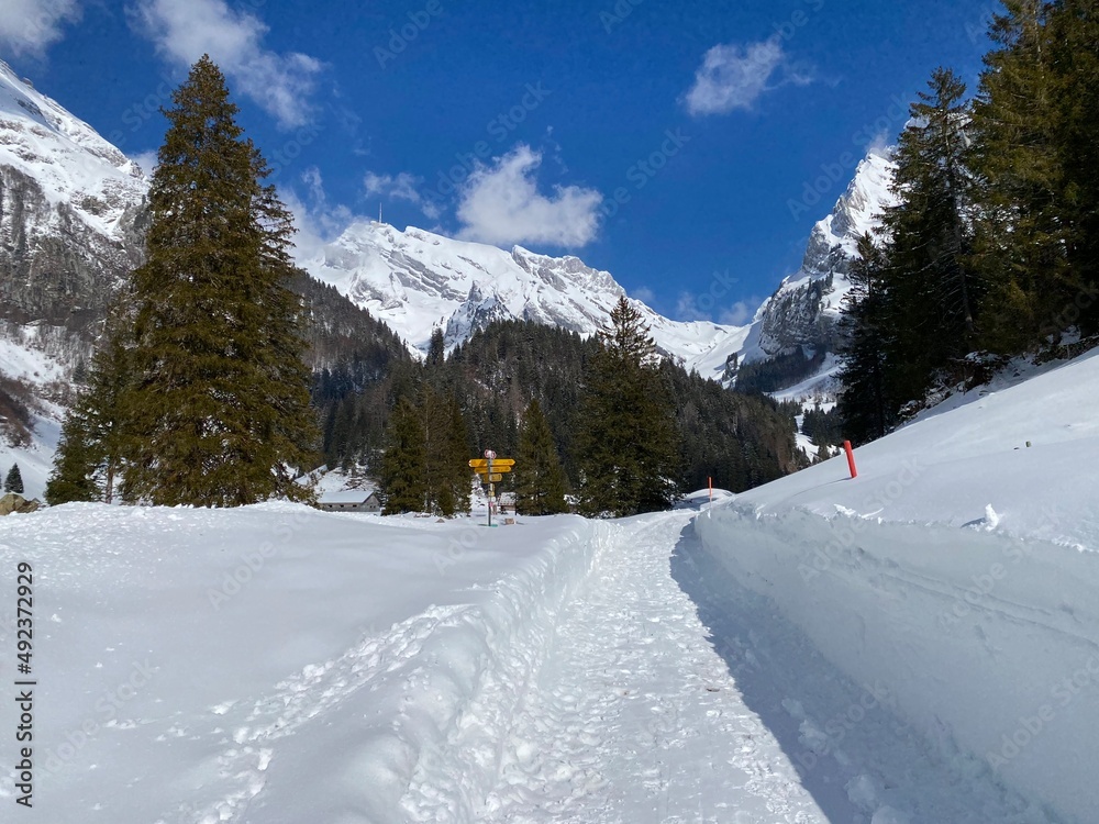 Winter snow idyll along the rural alpine road above the Obertoggenburg valley and on the slopes of the Alpstein mountain range - Unterwasser, Switzerland (Schweiz)