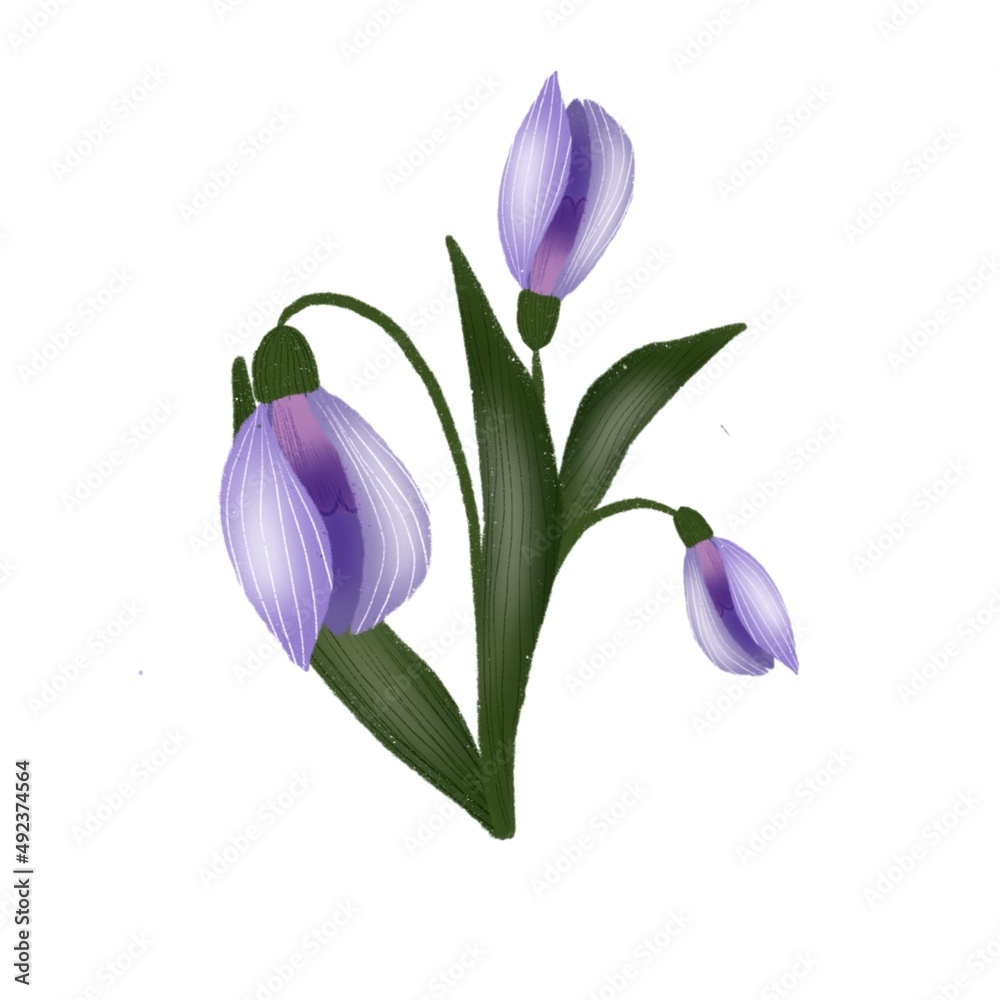 Naklejka premium bouquet of flowers