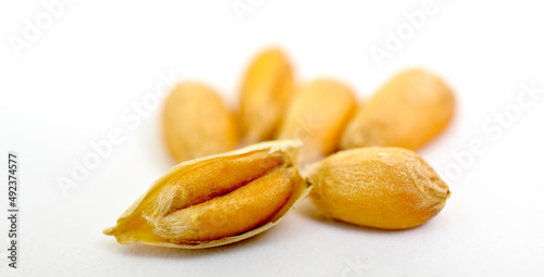 cereal grains, seeds on white background