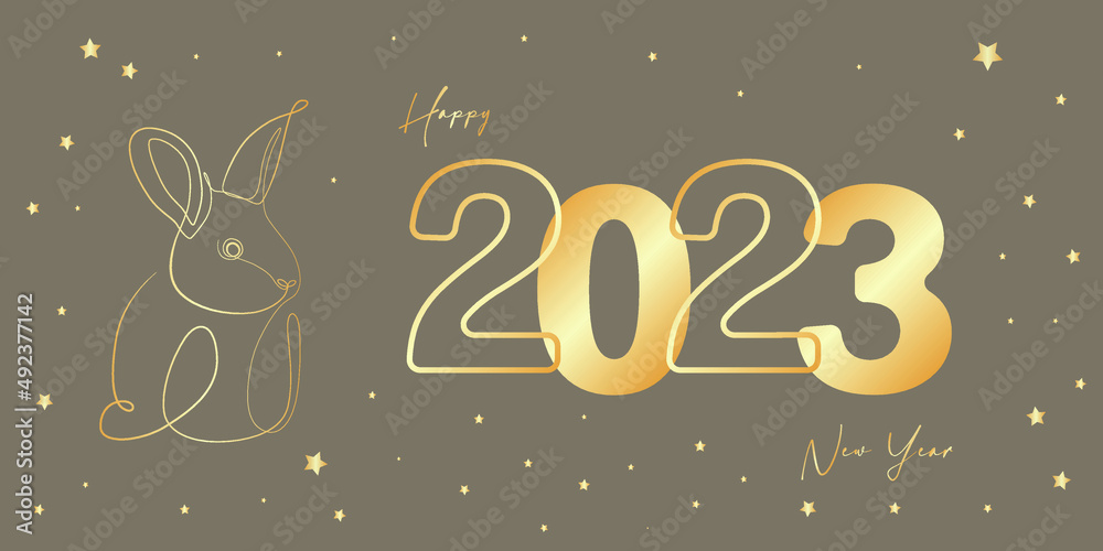 Happy chinese new year 2023 rabbit greeting card Vector Image