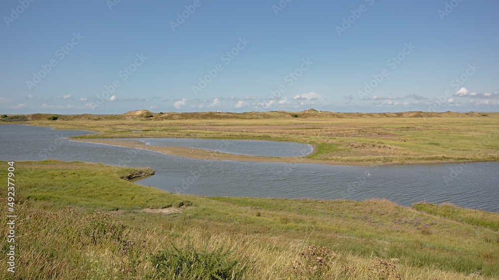 creek with saltwater and dunes on a sunny summer day in Het Zwin nature reserve, Knokke, Flanders, Belgium 