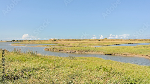 Mudflats and grass fields in the marsh on a sunny summer day in in Zwin nature reserve Knokke, Flanders, Belgium  photo