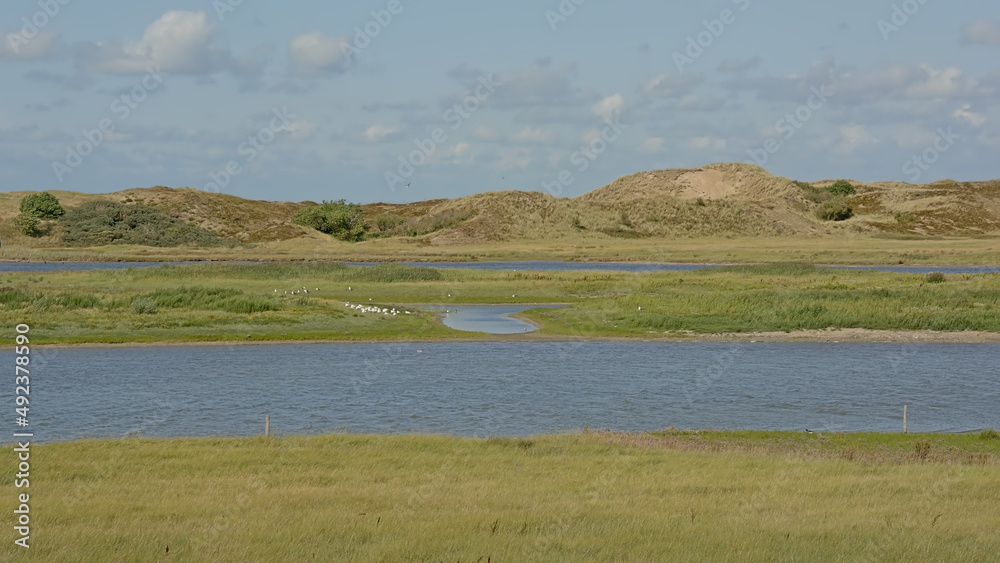 creek with saltwater and dunes on a sunny summer day in Het Zwin nature reserve, Knokke, Flanders, Belgium 