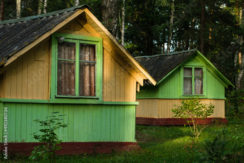 Old wooden houses in the birch-pine forest