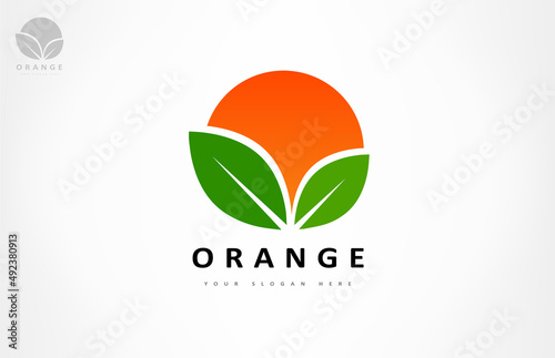 orange fruit and leaf logo vector