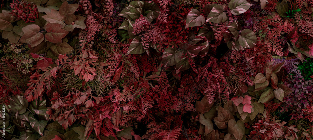 Creative nature wall background, autumn leaf banner or floral jungle pattern concept. Creative nature wall background, autumn leaf banner or floral jungle pattern concept.