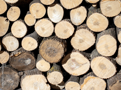 End faces of sawn logs, side view. Sawn firewood stacked in piles, end view. Firewood for a picnic stacked in a pile.