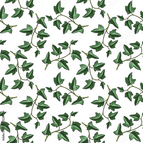seamless pattern with drawing ivy plant , hedera, green leaves at white background, hand drawn illustration