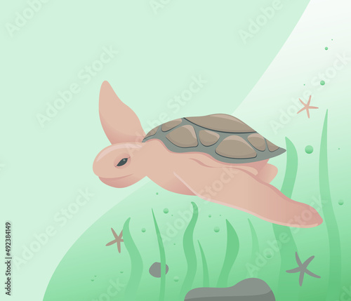 Flat vector illustration with turtle underwater. Take care for nature and cleaning nature from garbage poster concept. Marine animal collection. Underwater set. Cute cartoon characters