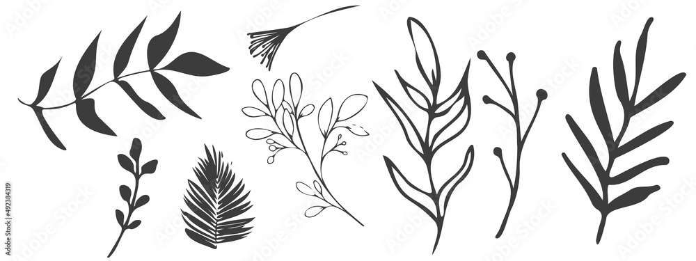 Vector plants and grasses. Minimalist black style of hand drawn plants. With leaves and organic shapes. For your own design. Vector plants and grasses. Minimalist black style of hand drawn plants. With leaves and organic shapes. For your own design.