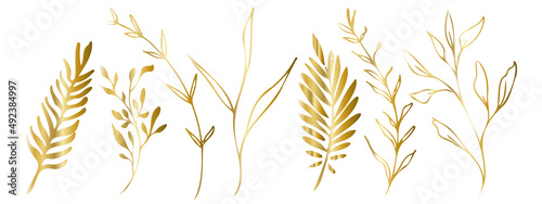 Vector plants and grasses in gold style with shiny effects. Minimalist style. Hand drawn plants. With leaves and organic shapes. For your own design.