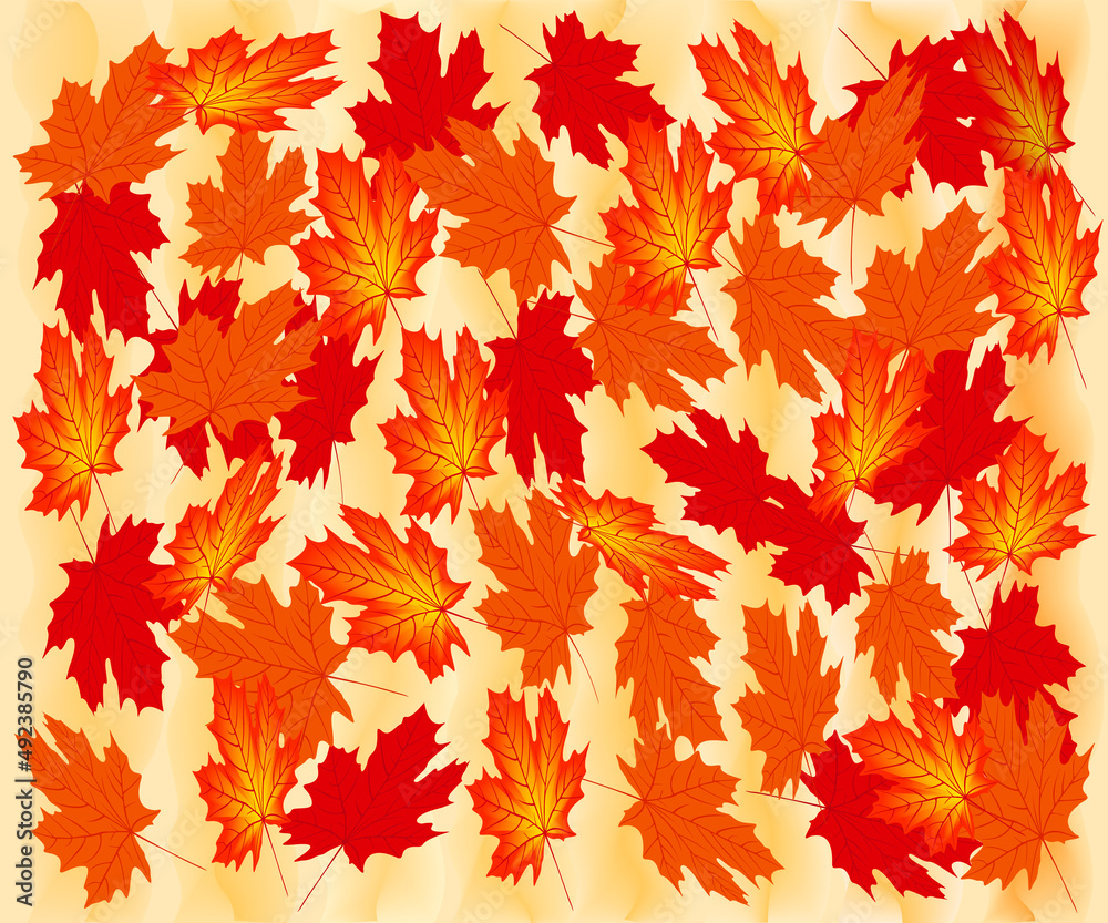 Autumn maple leaves, file EPS.8 illustration.