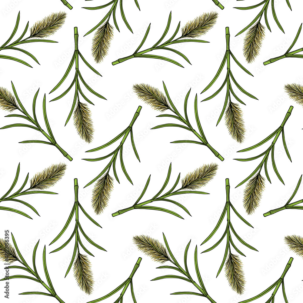 seamless pattern with drawing plant of sugarcane at white background, hand drawn illustration seamless pattern with drawing plant of sugarcane at white background, hand drawn illustration