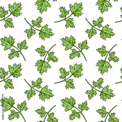 seamless pattern with drawing leaf of coriander chinese parsley  green leaves at white background  hand drawn illustration