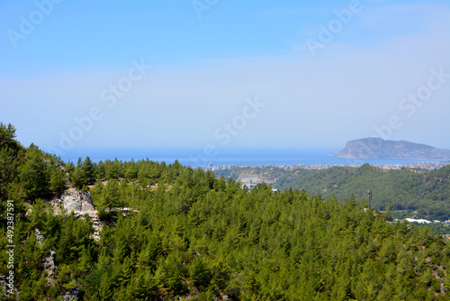 mountains with pine trees on blue sky background