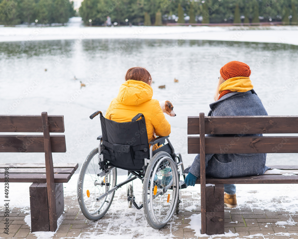 Caucasian woman in a wheelchair and her friend are sitting by the lake with ducks in winter. Caucasian woman in a wheelchair and her friend are sitting by the lake with ducks in winter.