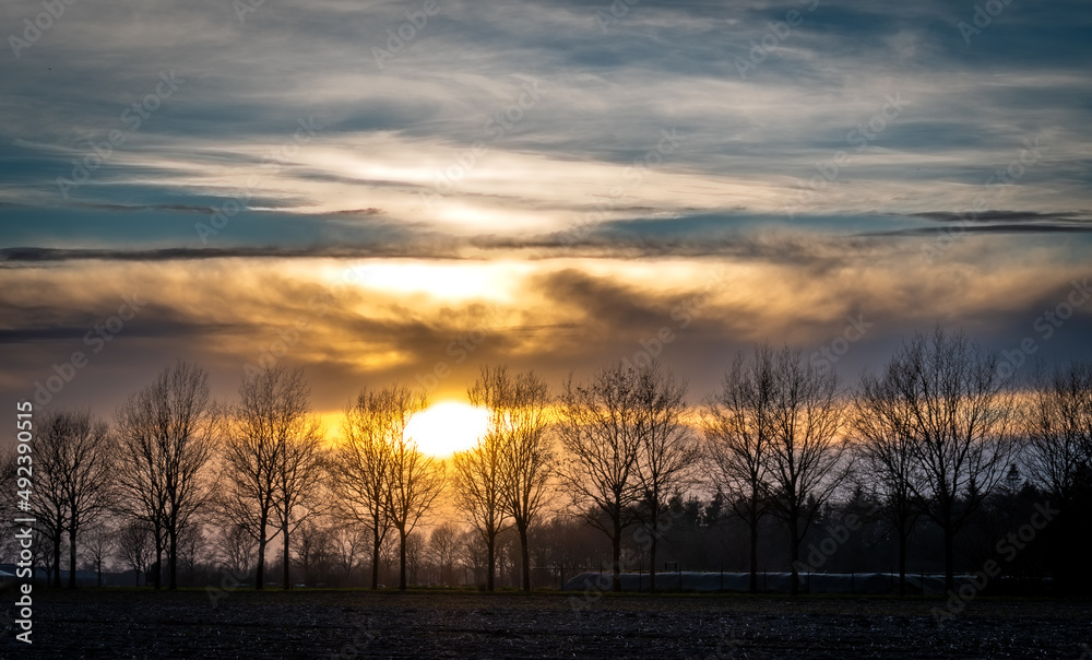 Dramatyczne niebo o zachodzie słońca nad drzewami na farmie - obrazy, fototapety, plakaty 