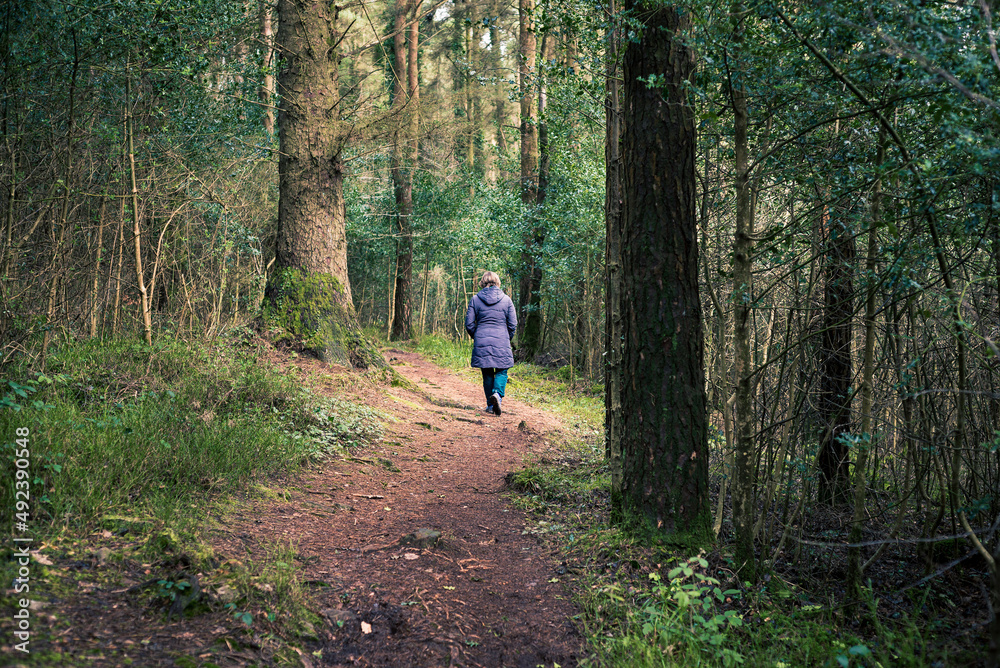 Woman wearing warm winter coat walking alone along a winding path through a dense woodland. Woman wearing warm winter coat walking alone along a winding path through a dense woodland.