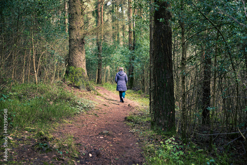 Woman wearing warm winter coat walking alone along a winding path through a dense woodland.