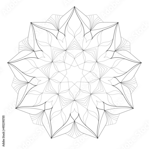 Detailed vector mandala ornament isolated with small elements svg downloaded