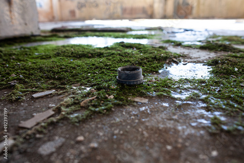 ice and moss on the floor of an abandoned enterprise