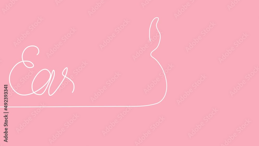 Self draw animation Easter Egg with Bunny Ears. Hand drawn white line animation of Egg on pink background, Easter symbol. Self-drawing simple animation. Continuous drawing of one line. 4K footage Self draw animation Easter Egg with Bunny Ears. Hand drawn white line animation of Egg on pink background, Easter symbol. Self-drawing simple animation. Continuous drawing of one line. 4K footage