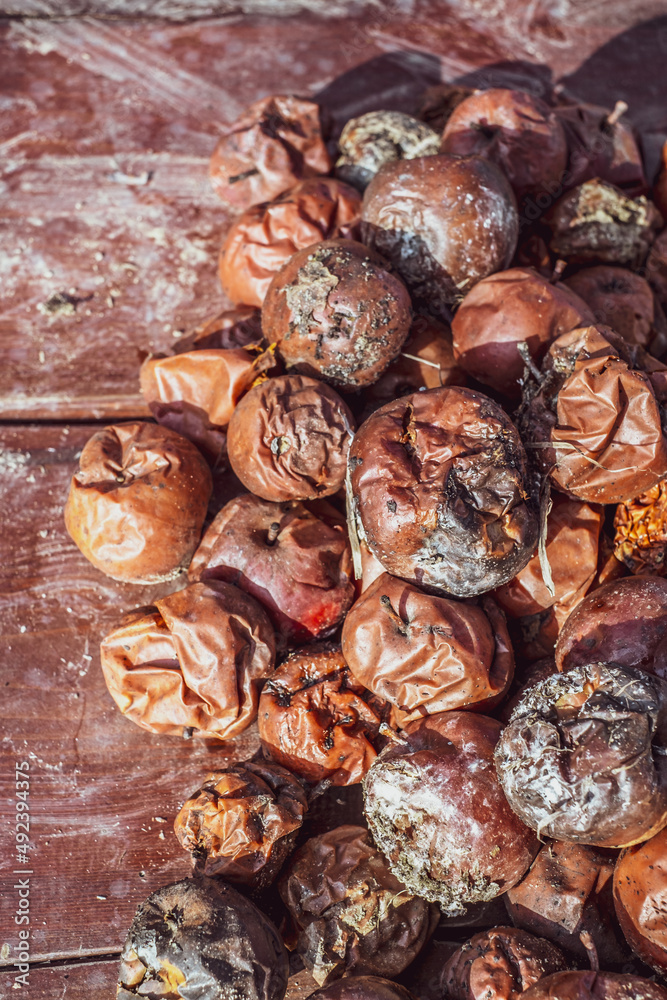 rotten apples on the table in the garden rotten apples on the table in the garden