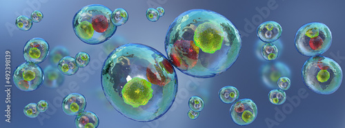 Cell division under the microscope. Human cell, animal cells,3d illustration. photo