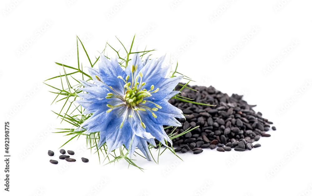 Black cumin seed with nigella sativa flowers Stock Photo Adobe Stock