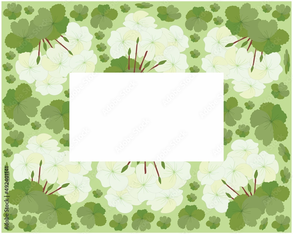 Beautiful Flower, Illustration Frame of Beautiful White Geranium Flowers or Pelargonium Graveolens Flowers Isolated on White Background.
Beautiful Flower, Illustration Frame of Beautiful White Geranium Flowers or Pelargonium Graveolens Flowers Isolated on White Background.
