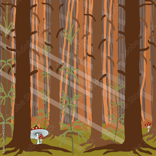 A jpeg illustration of a deep forest with green grass and several fly agarics near some trees. Designed in brown and green colors for web concepts.