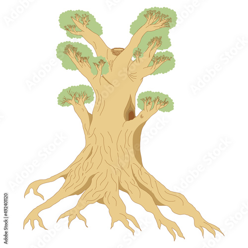 An outline vector illustration of a large tree isolated on transparent background. Designed in brown and green colors for web concepts, templates, prints.
