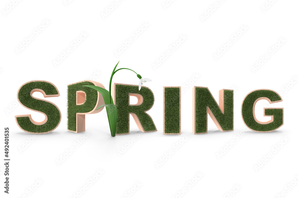 Spring Spring