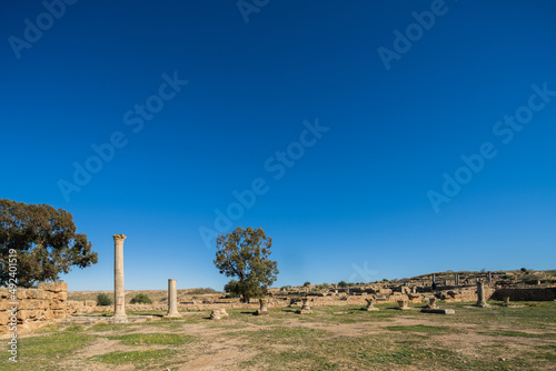 Thuburbo Majus large roman site in northern Tunisia photo