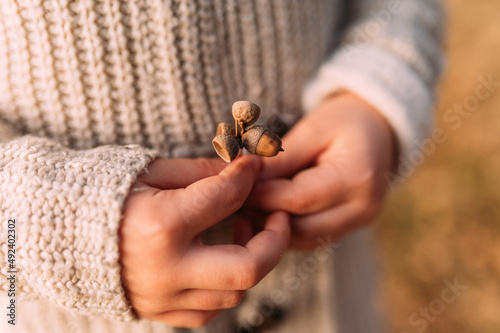 kleine Mädchen Hände halten Eicheln fest im Herbst horizontal detailaufnahme photo