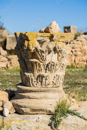 Thuburbo Majus large roman site in northern Tunisia photo