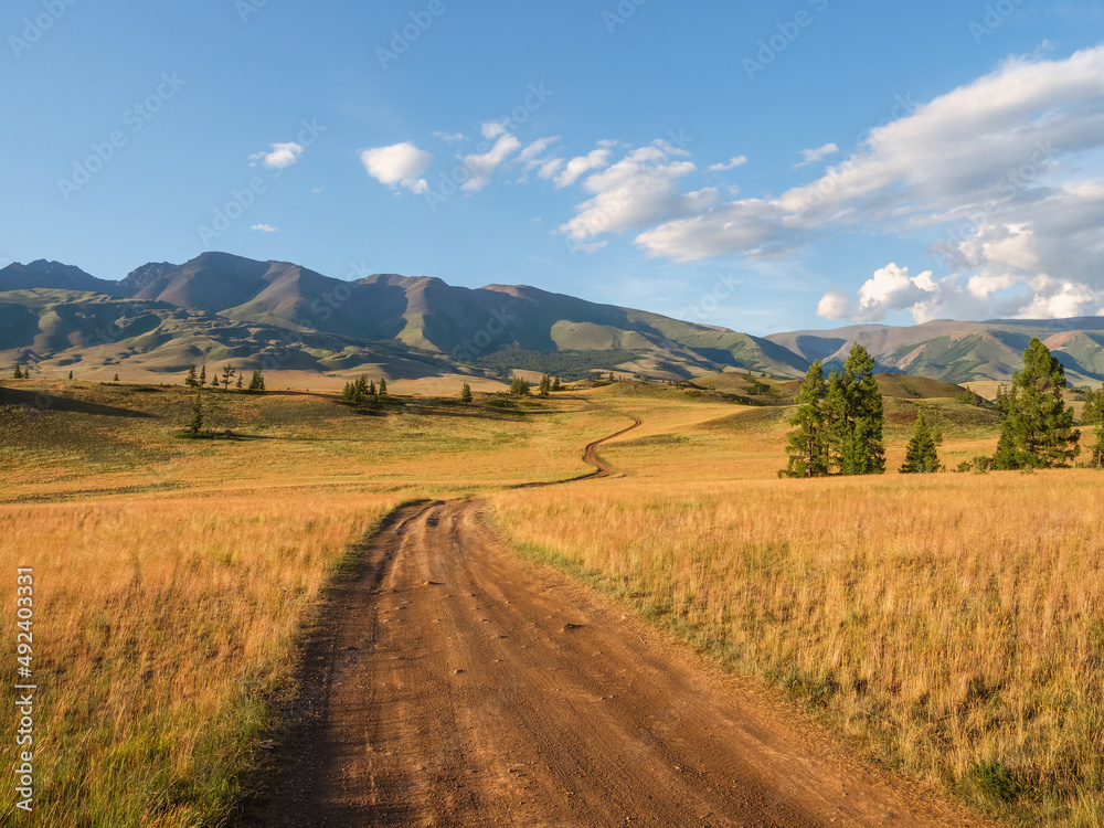 Remote dirt trail through the mountains. Bright summer atmospheric minimalist Alpine landscape with a dirt path among the grasses in the highlands. Country road up the mountain.