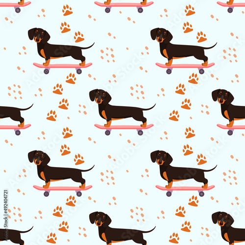 Seamless pattern with funny dogs. Dachshund on a skateboard. Cartoon design.